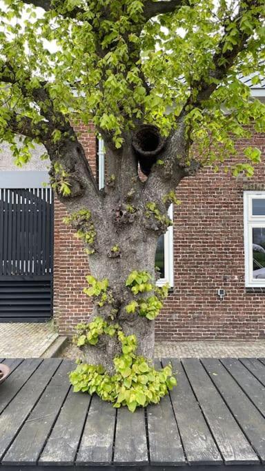 Puur Eastermar - Monumentaal, Authentiek En Luxe Koetshuis Aan Open Vaarwater Met Jacuzzi En Sauna Oostermeer Exterior photo